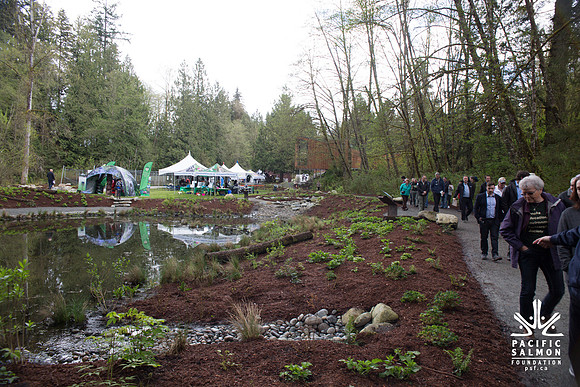 2-KANAKA CREEK- PSF-59