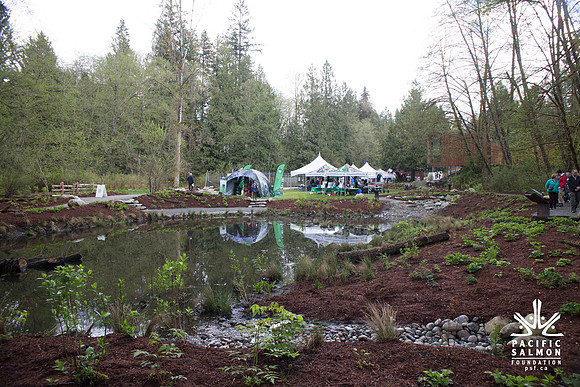 2-KANAKA CREEK- PSF-60