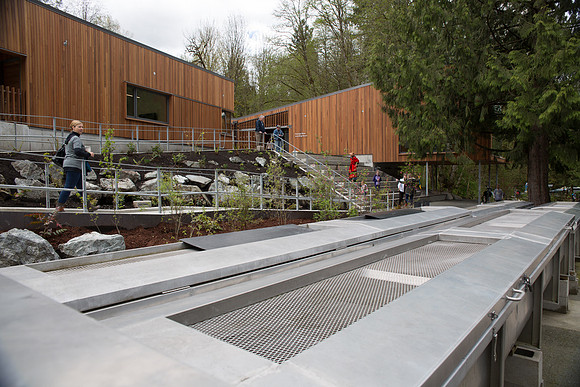 2-KANAKA CREEK- PSF-6
