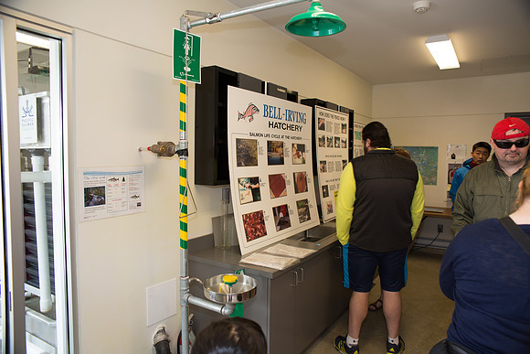 2-KANAKA CREEK- PSF-11