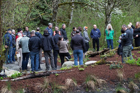2-KANAKA CREEK- PSF-55