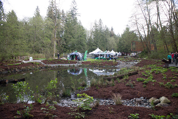 2-KANAKA CREEK- PSF-60