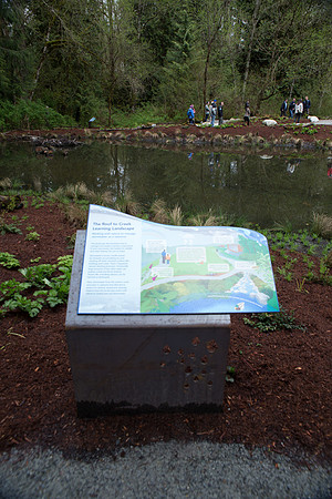 4-KANAKA CREEK- PSF-60