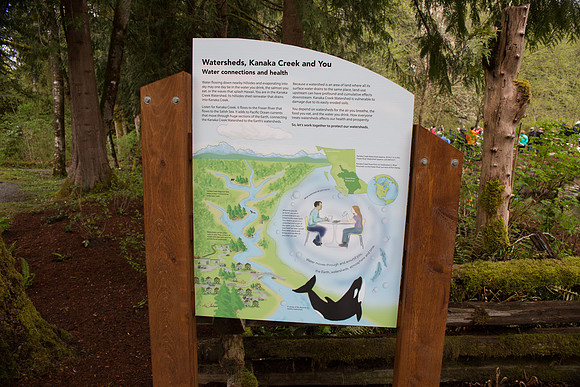 4-KANAKA CREEK- PSF-63