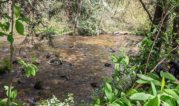 5-KANAKA CREEK- PSF