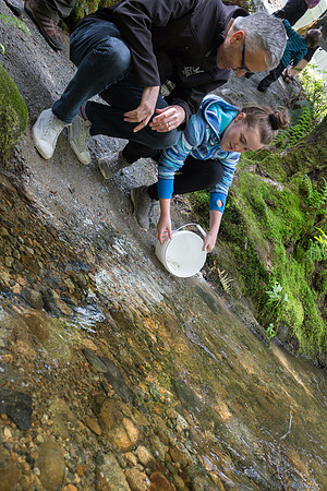 5-KANAKA CREEK- PSF-5