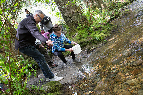 5-KANAKA CREEK- PSF-9