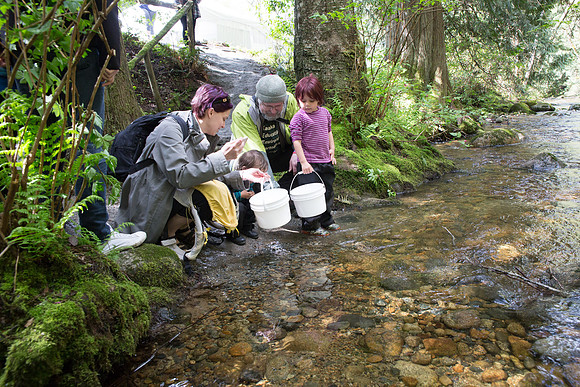 5-KANAKA CREEK- PSF-12