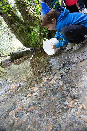 5-KANAKA CREEK- PSF-15