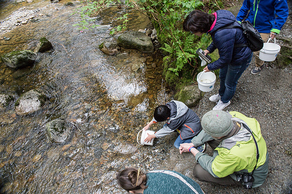 5-KANAKA CREEK- PSF-22