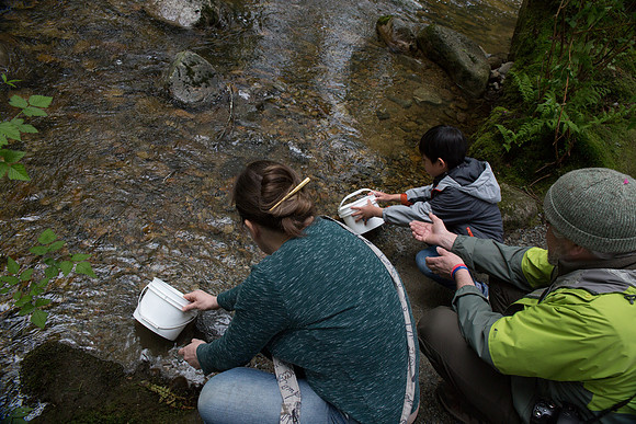 5-KANAKA CREEK- PSF-24