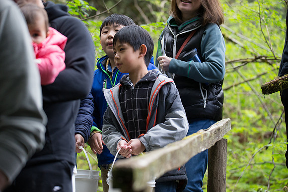 5-KANAKA CREEK- PSF-33