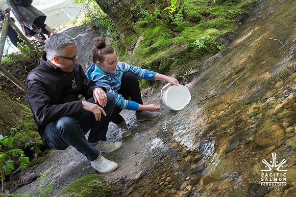 5-KANAKA CREEK- PSF-2