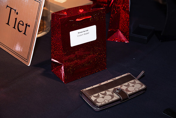 4-SETUP-PSF GALA 2022-380