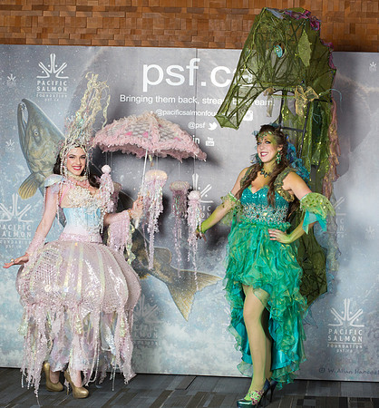 0 MEDIA WALL - PSF-13