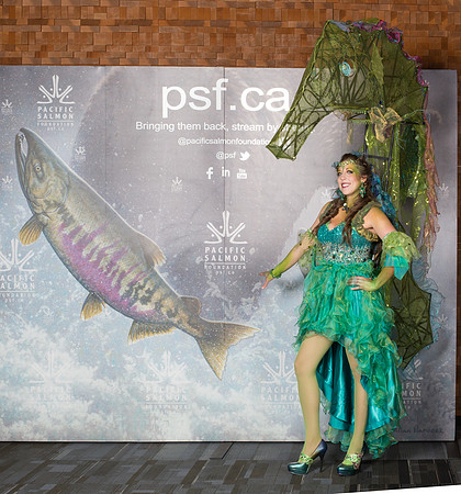0 MEDIA WALL - PSF-15