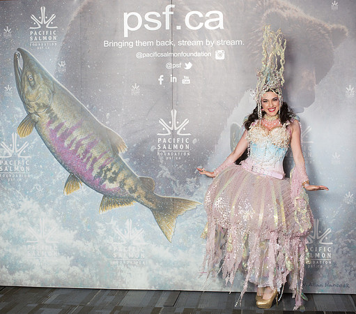 0 MEDIA WALL - PSF-18