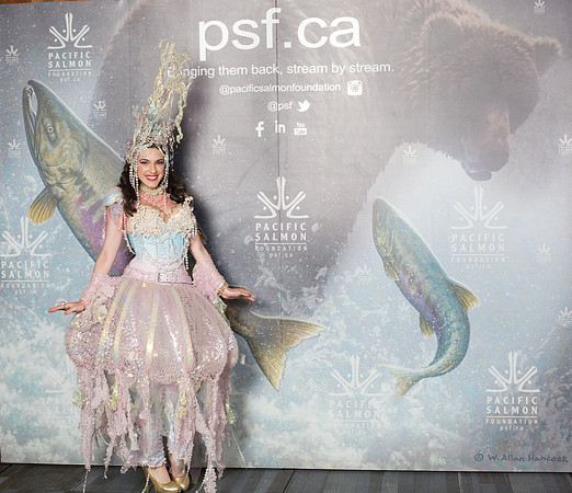 0 MEDIA WALL - PSF-19