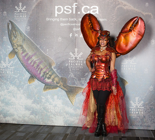 0 MEDIA WALL - PSF-29