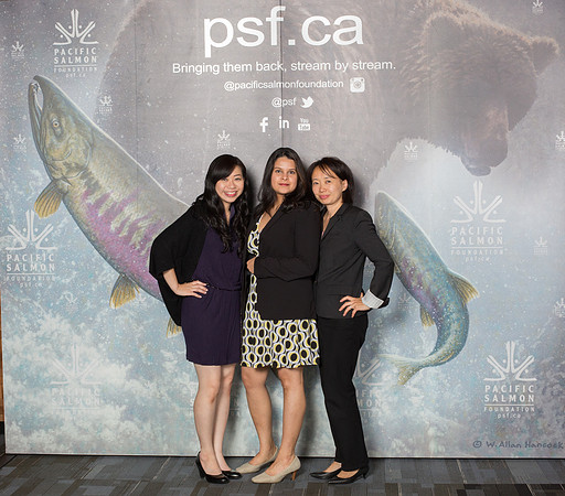 0 MEDIA WALL - PSF-111