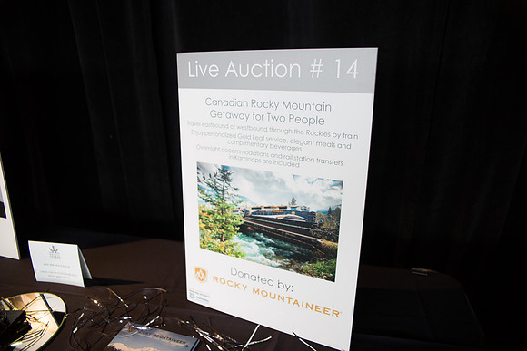5b LIVE AUCTION - PSF-24