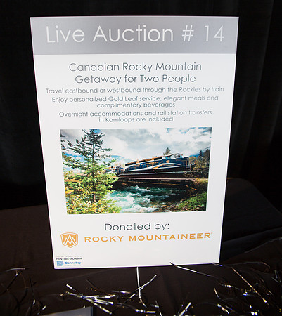 5b LIVE AUCTION - PSF-26