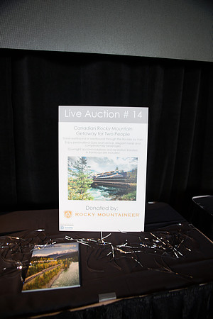 5b LIVE AUCTION - PSF-27