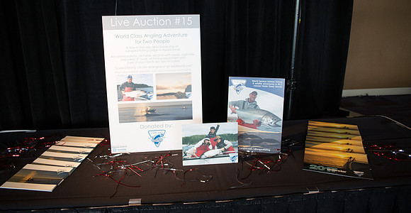 5b LIVE AUCTION - PSF-28