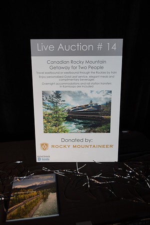 5b LIVE AUCTION - PSF-29
