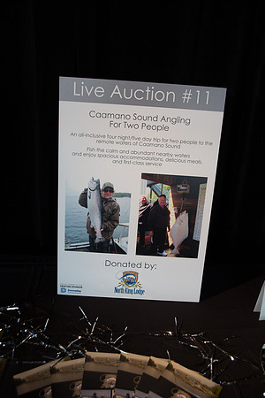 5b LIVE AUCTION - PSF-31