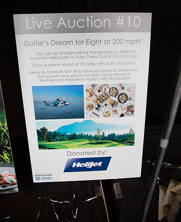 5b LIVE AUCTION - PSF-35