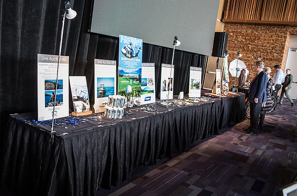5b LIVE AUCTION - PSF-42