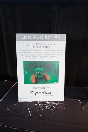 5b LIVE AUCTION - PSF-52