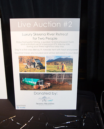 5b LIVE AUCTION - PSF-59