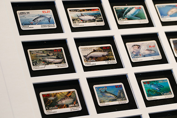 5c SILENT AUCTION - PSF-5