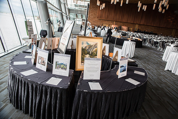 5c SILENT AUCTION - PSF-11