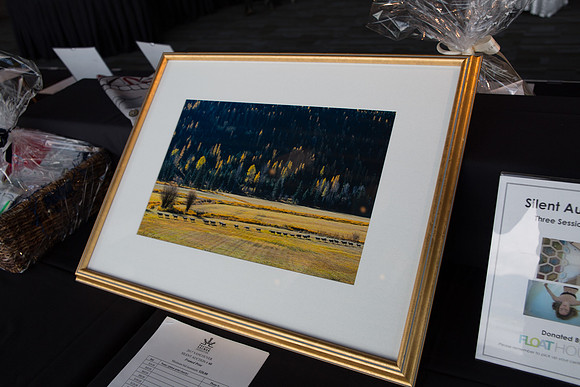 5c SILENT AUCTION - PSF-78