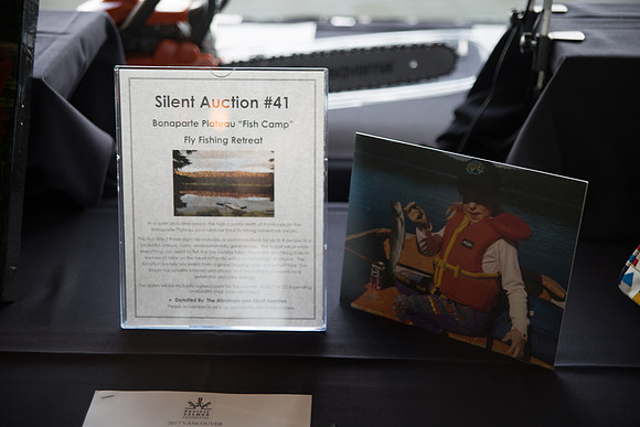 5c SILENT AUCTION - PSF-99