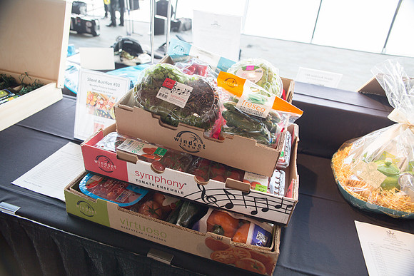 5c SILENT AUCTION - PSF-107