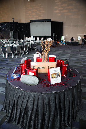 5c SILENT AUCTION - PSF-134