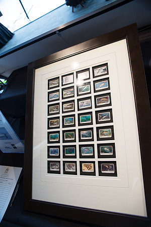 5c SILENT AUCTION - PSF-155