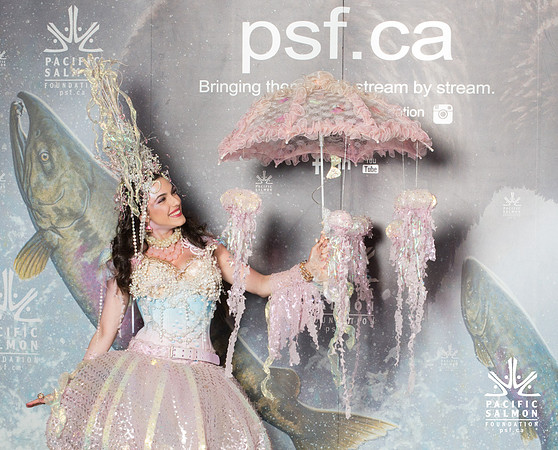0 MEDIA WALL - PSF-17