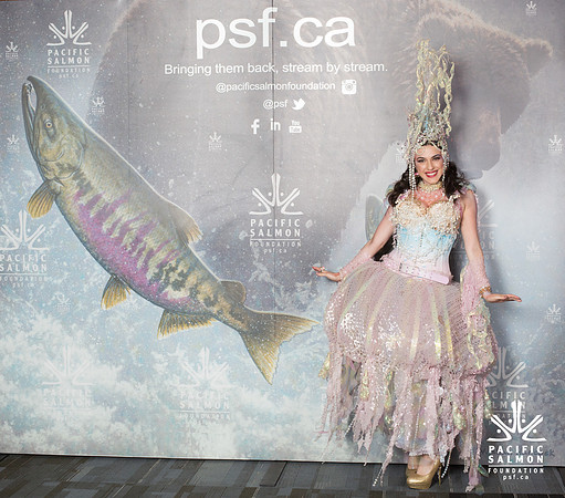 0 MEDIA WALL - PSF-18