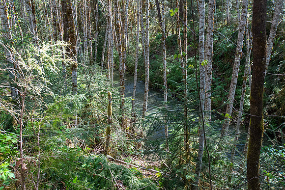 PIT RIVER VISIT - PSF-23