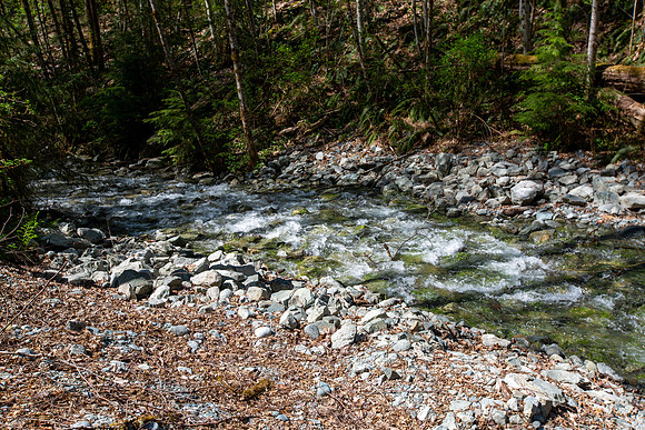 PIT RIVER VISIT - PSF-204