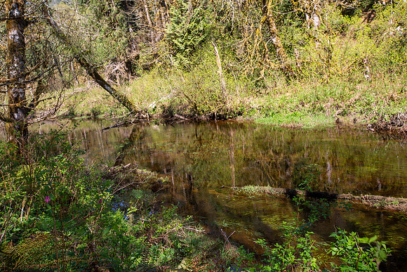 PIT RIVER VISIT - PSF-381
