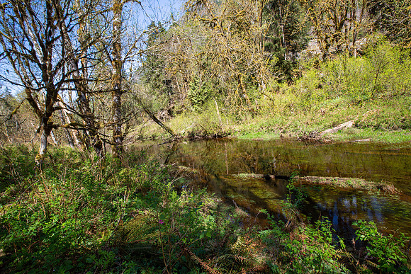 PIT RIVER VISIT - PSF-382
