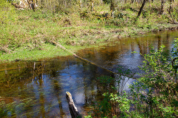 PIT RIVER VISIT - PSF-385
