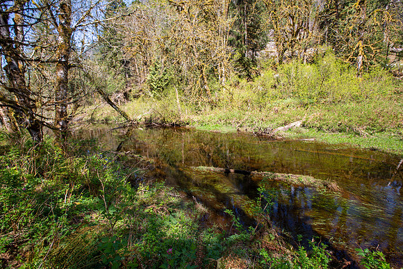 PIT RIVER VISIT - PSF-384