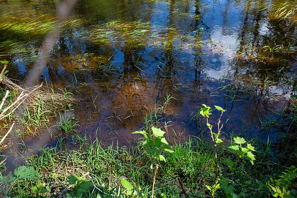PIT RIVER VISIT - PSF-387